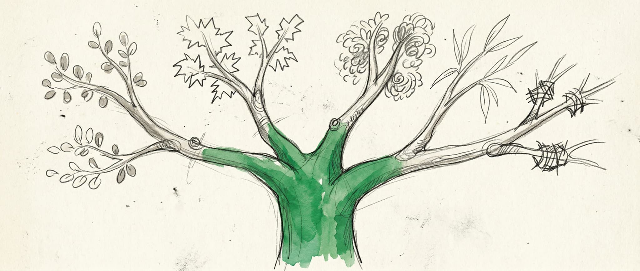 Hand-drawn sketch of a single codebase branching into many personalized forks, each distinct